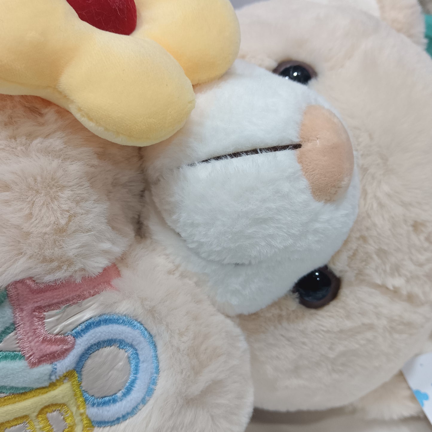 NXS1526 55BR love teddy bear