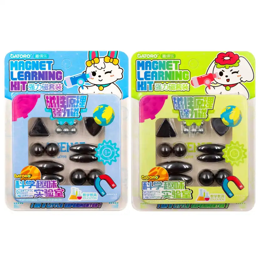 Magnet Learning 1set Assorted