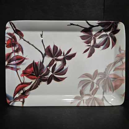 Melamie serving tray Rectangular Shaped Platter designer Tray for your Home dinning room to give elgent look to your dinning tables perfect for everyday use