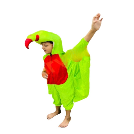 Parrot Costume - 2-4 Years/S