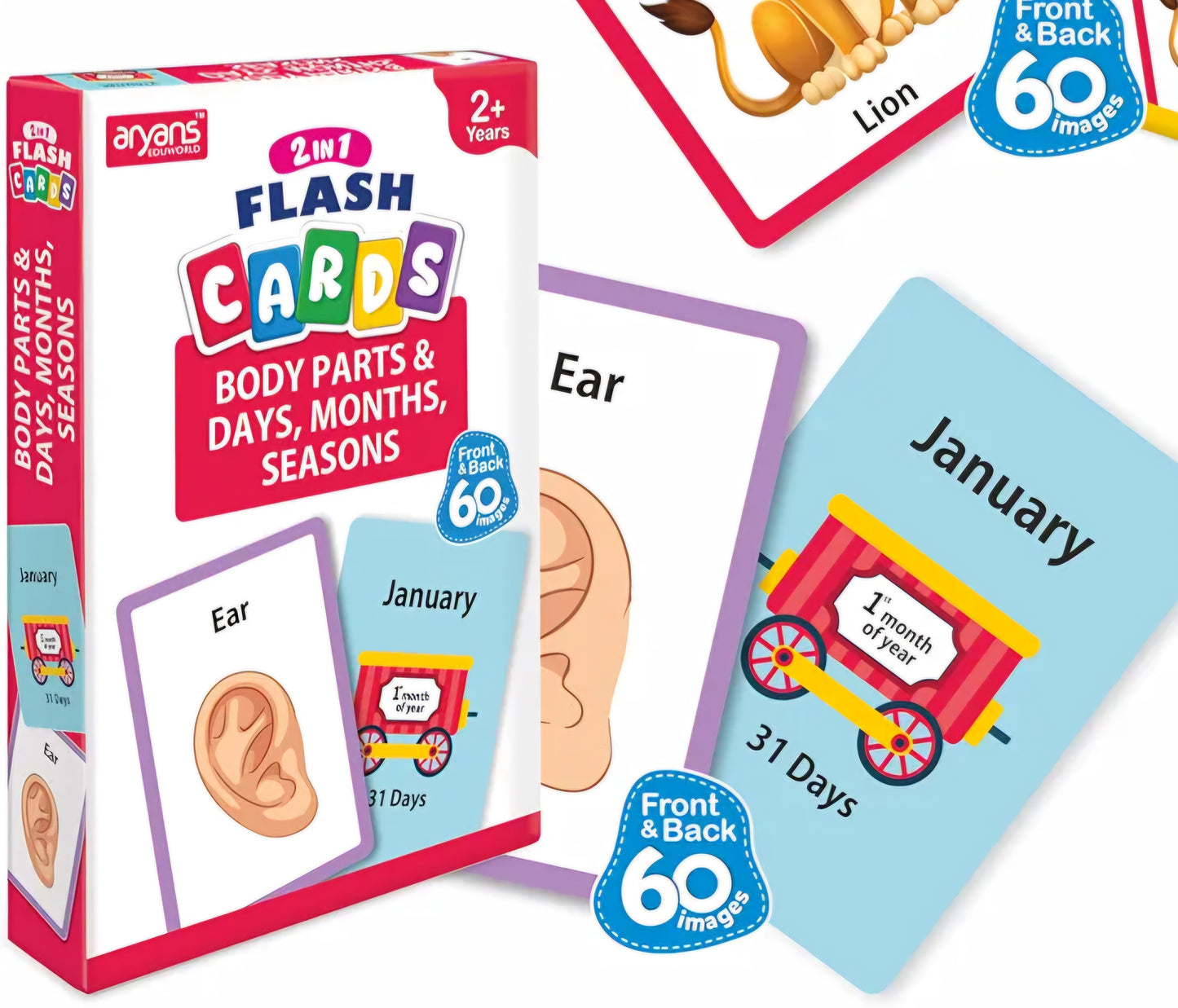 2 in 1 Flash Cards Pack of 6 Set of 6 Flash Cards 180 Cards Front and Back Alphabets Shapes Body Parts Seasons Birds and Many More Perfect Learning Tool for Kids