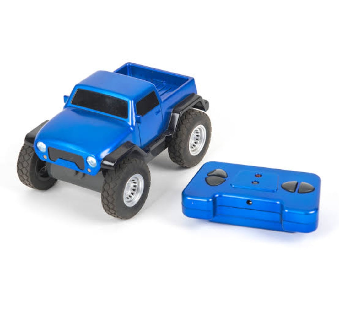 ZWD RC car