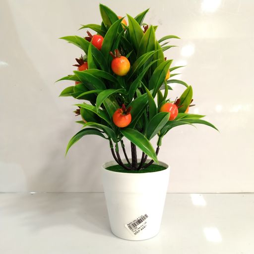 Fruit Tree Pot