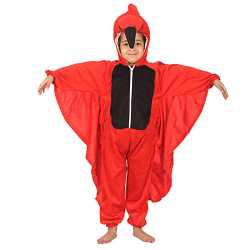 Red Bird 2-4 Years Costume