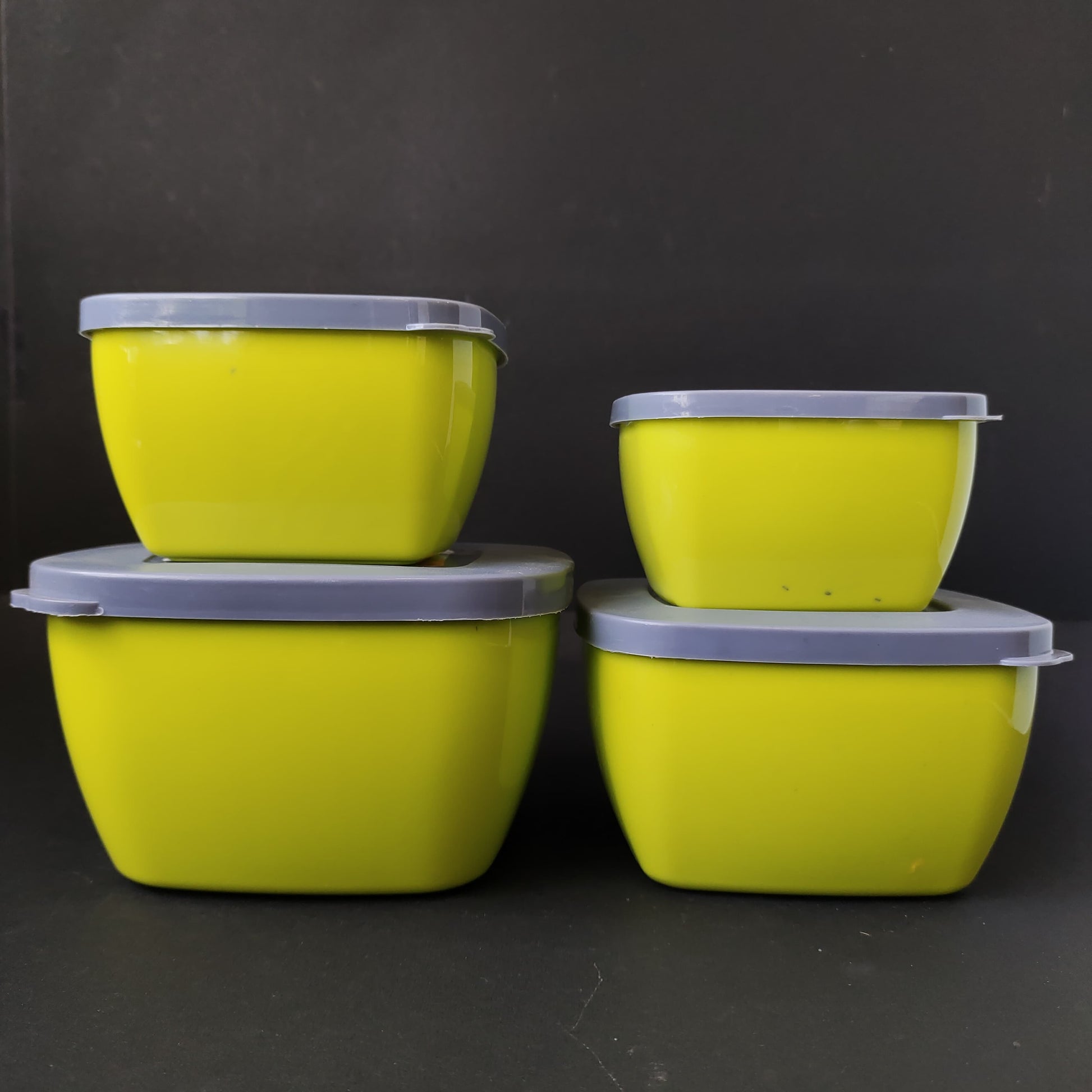 Tynor 4 PC Set containers