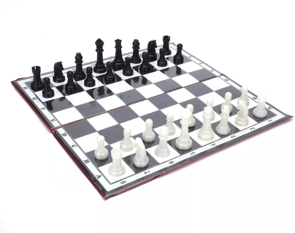 Move in silence only speak when its time to say checkmate Kings Kingdom Magnetic Chess set