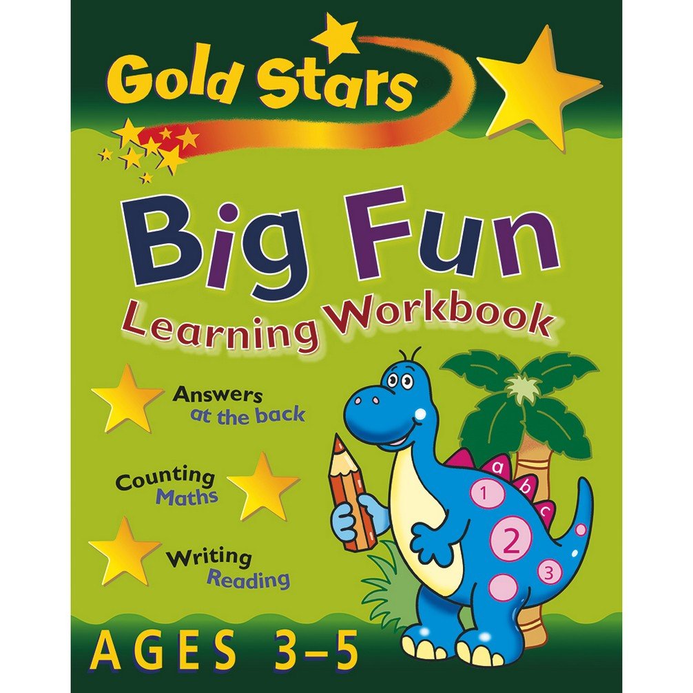 Gold Stars Big Fun Learning Workbook Ages 35