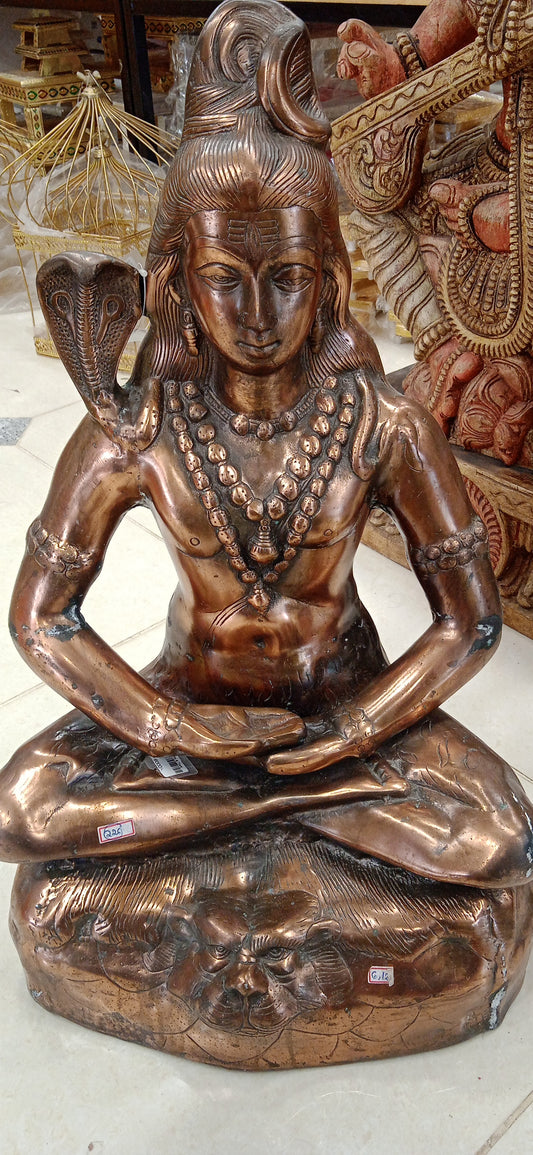 Shiva Copper