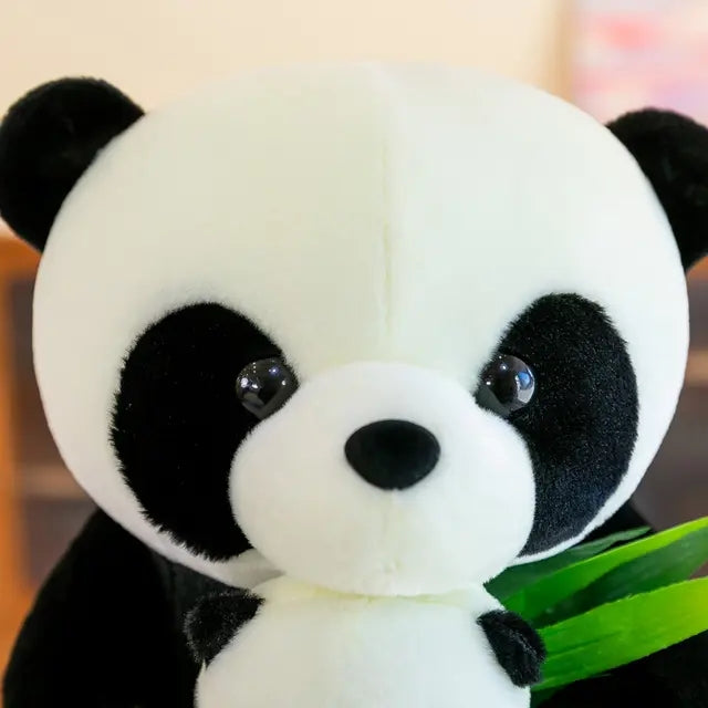 NXS1564 27PD panda with football