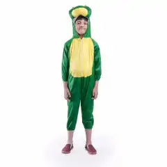 Frog Fancy Dress 6-8