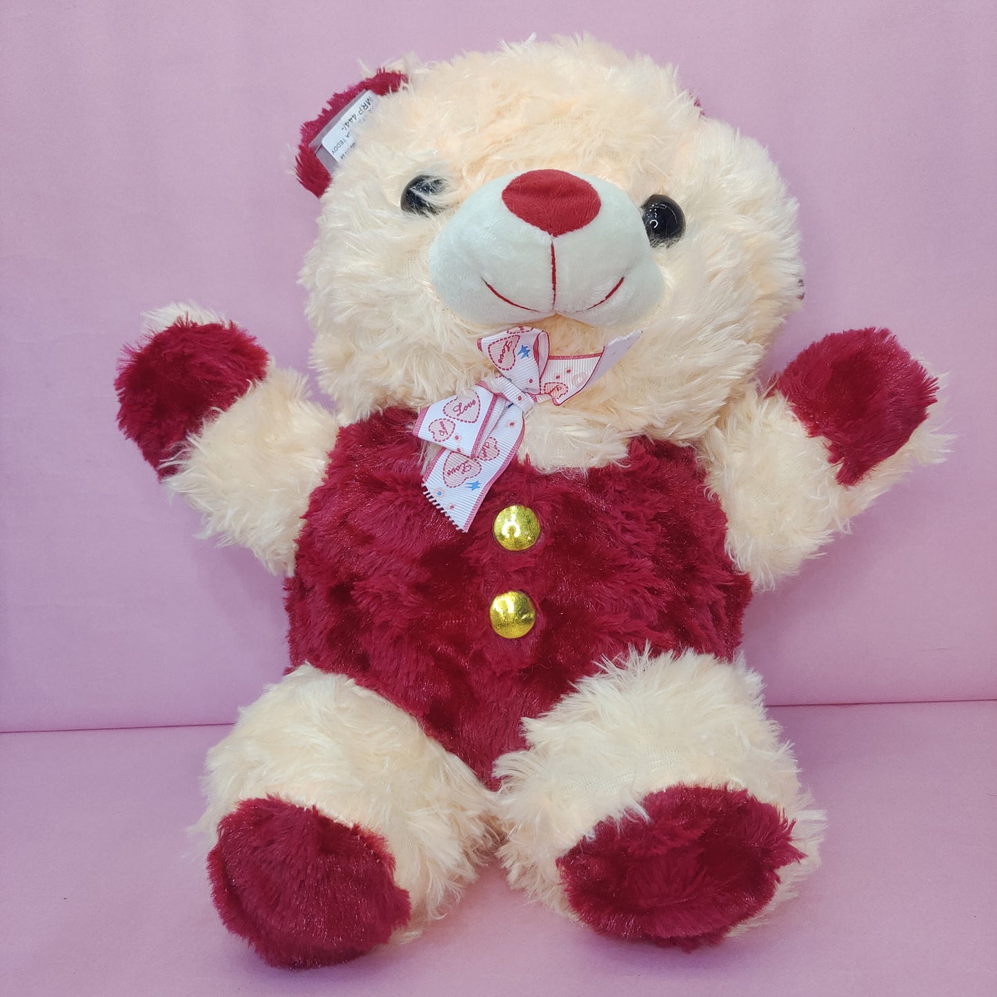 Raja Teddy Soft toy 1pc