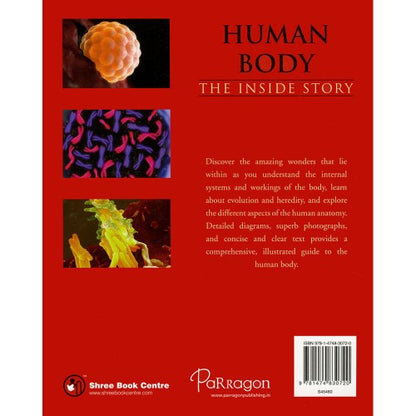 Human Body The Inside Story